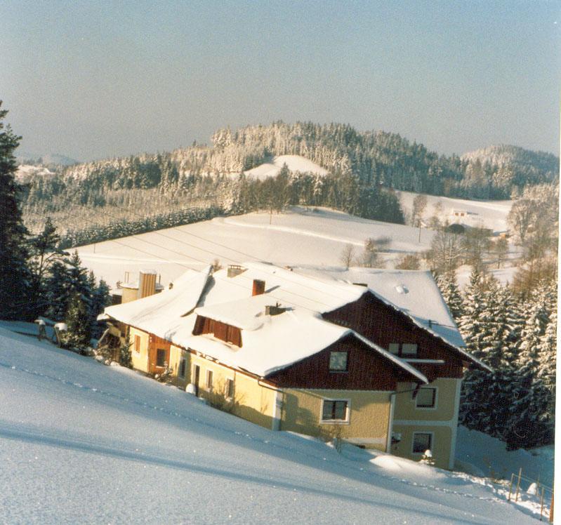 Ferienhof Kriechbaumer Schönau im Mühlkreis Exterior foto